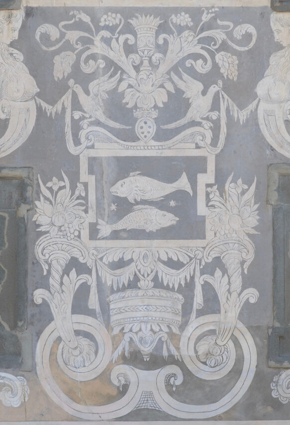 Carovana – iconografia – 8 – Pesci – Tartarelli SNS – DSC_7845