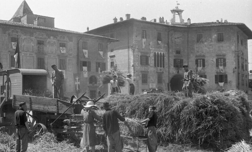 La Battaglia del grano