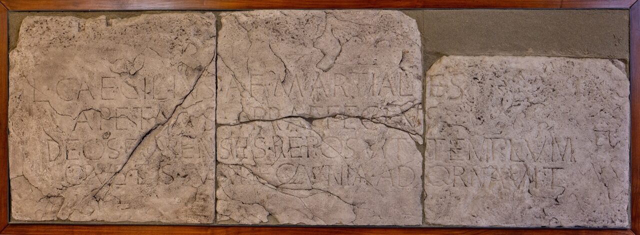 Palazzo Carovana – Calchi – ISegesta L1 – Tartarelli