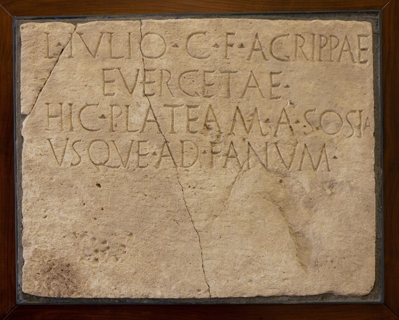 Palazzo Carovana – Calchi – ISegesta L8 – Tartarelli