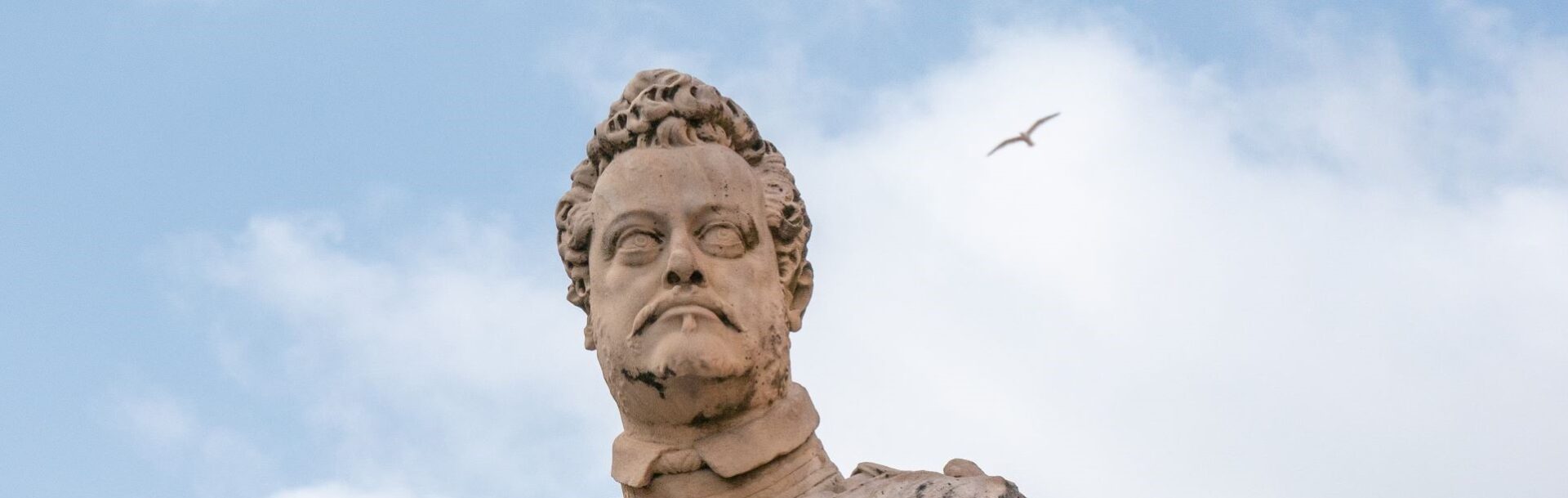Piazza Carrara_Ferdinando_testata bis_10303084