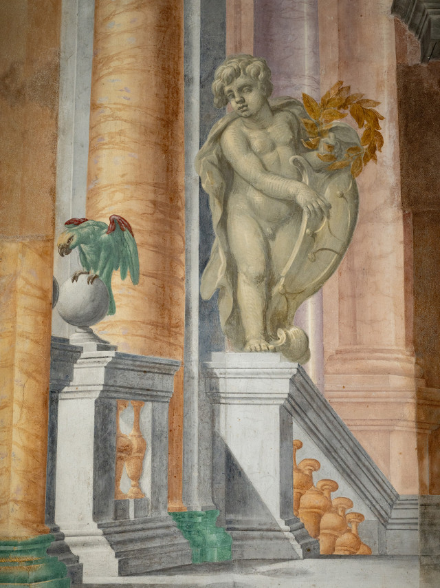 Palazzo Dodici – Sala Udienza – parete ingresso – putto pappagallo – TARTARELLI – DSC_0300
