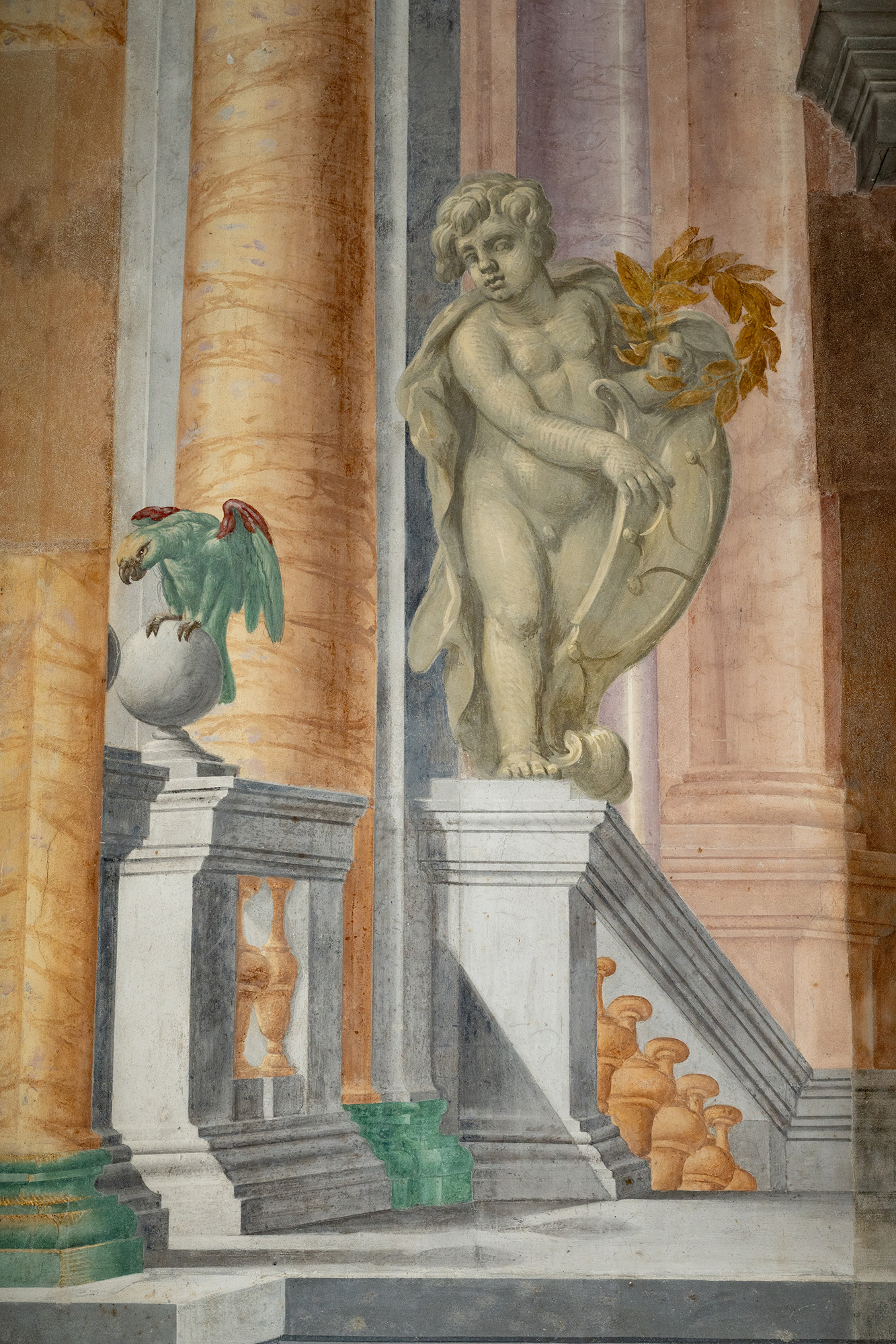 Palazzo Dodici – Sala Udienza – parete ingresso – putto pappagallo – TARTARELLI – DSC_0300