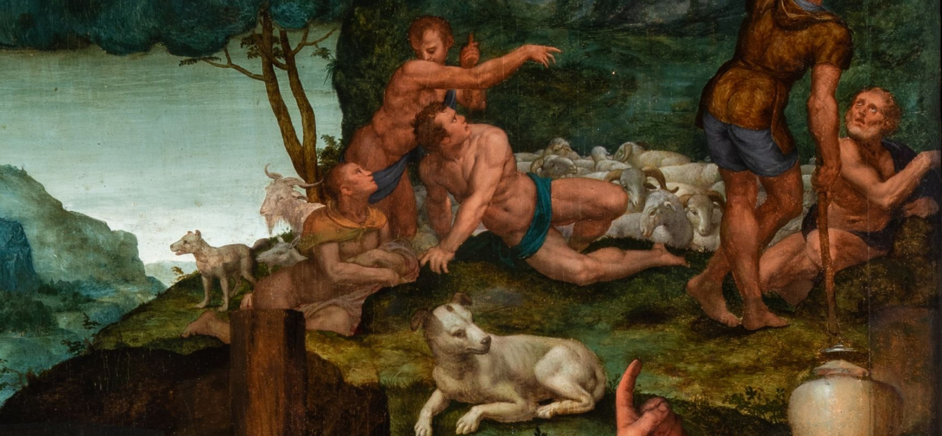 S. Stefano – interno – Bronzino, testata – TARTARELLI – DSC_2708_testata